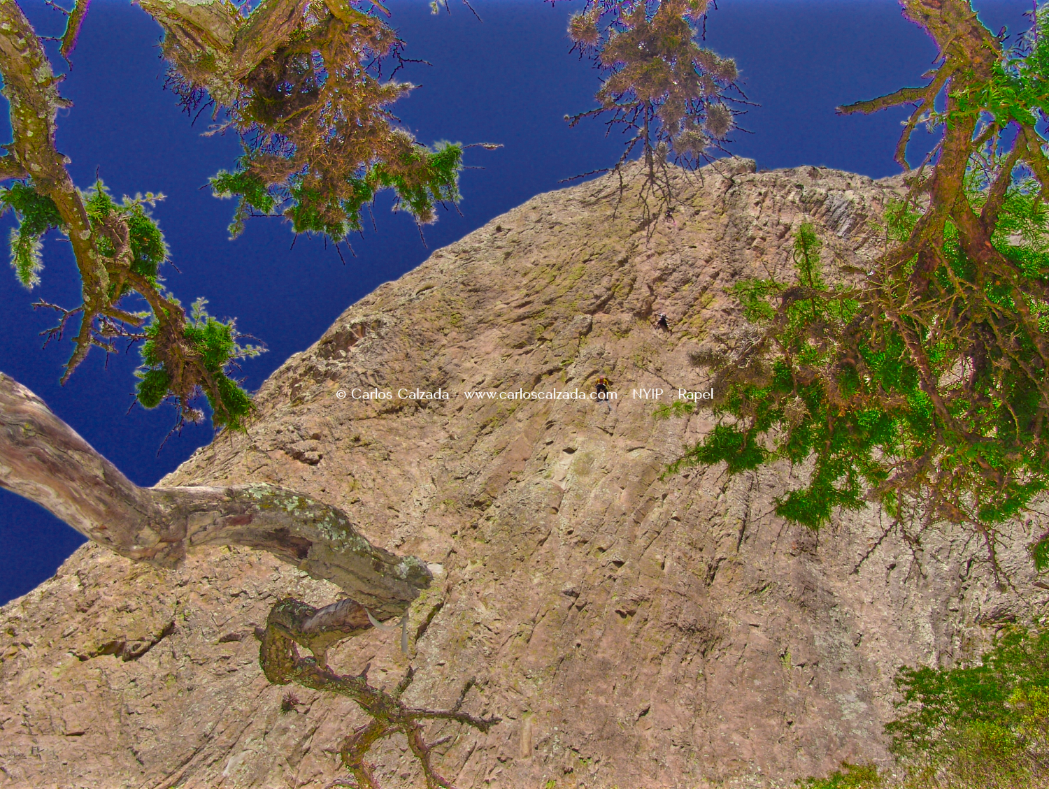 Rapel - may. 24 2024 - 10-40 a. m..png